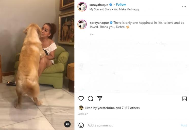Soraya Haque dan anjing kesayangannya. (Instagram/sorayahaque)